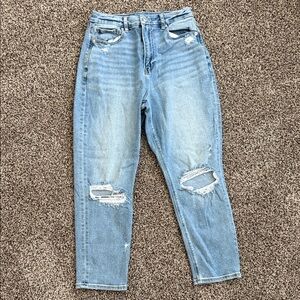 American Eagle Outfitters Light Blue Distressed Cropped Jeans